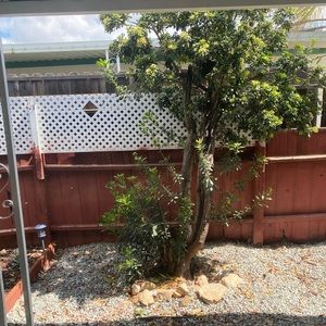 Meet your Posher, Alice